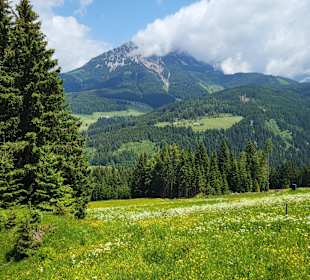Wandern Filzmoos