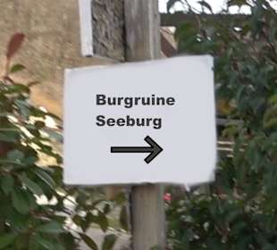 Burgruine Seeburg