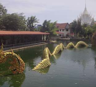 Die riesigen Schlange