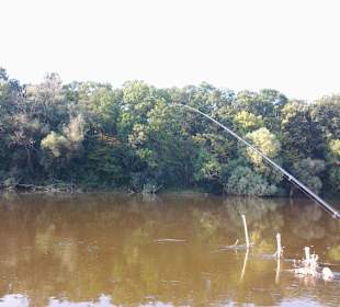 Awaiting the bite and enjoying nature 