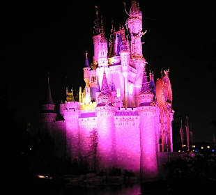 Cinderellas Castle bei Nacht