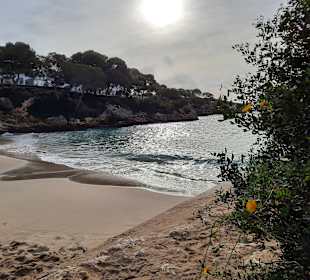 Strand Cala d'Or