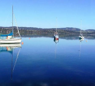 Forggensee