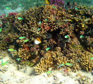 Etwas weiter vom Hotel entfernt