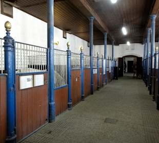 Angeschlossene Stallungen an das Museum