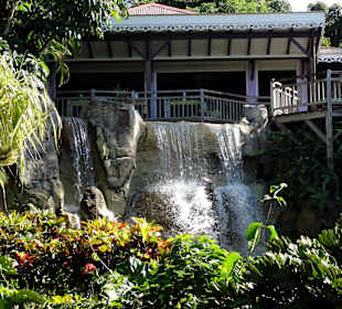 Wasserfall im Jardin Botanique de Deshaies