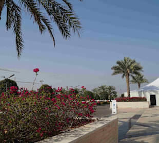 Grand Moschee