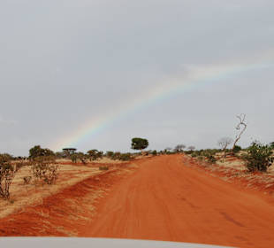 Sonnenuntergang im Park