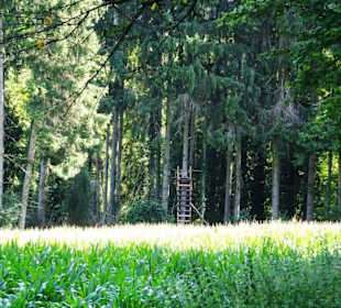 Wanderung durch die Kleine Luxemburger Schweiz