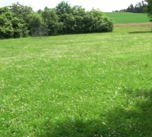 Spielplatz & Grillplatz Mandelberg