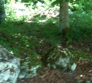 Ruine Hohenmelchingen