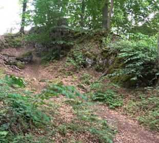 Burg Alt-Lichtenstein