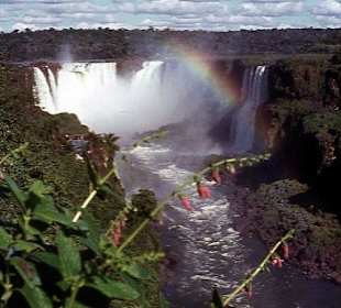 Die wunderschönen Wasserfälle von Iguazu