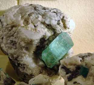 In der geologischen Abteilung