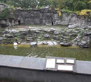 Tierpark
