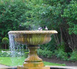 Regent´s Park Impressionen