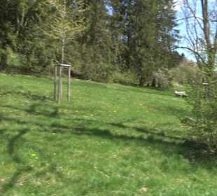 Rundweg am Beutenlay