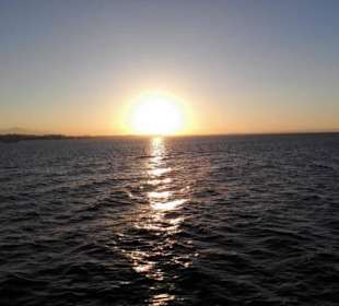 Delfinausflug mit Mo