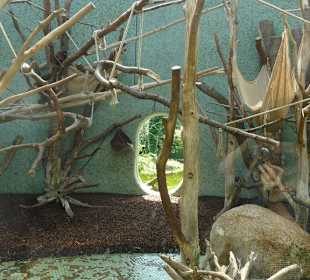 Rote Vari Innenanlage