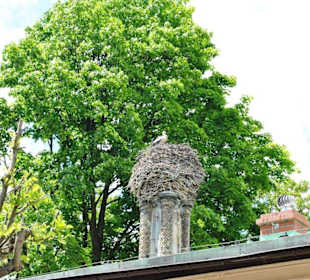 Pałac Królewski w Mysłakowicach