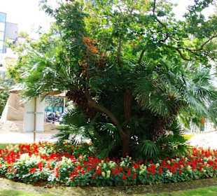 Mittig vom Park
