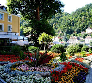Blumenterrasse an der Donau