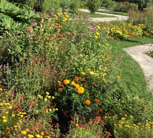 Botanischer Garten München