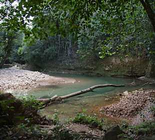 Am unteren Flußlauf