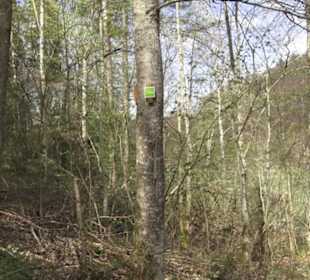 Wanderweg Hochgehswiggert