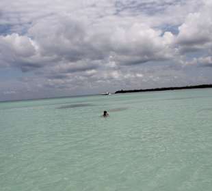 Saona - Sandbank