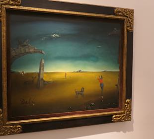Im Museum Fundación Juan March in Palma