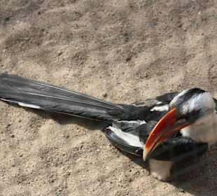 ZOOM Erlebniswelt Gelsenkirchen