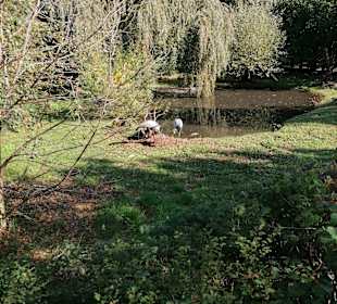 Zoologischer Garten Prag