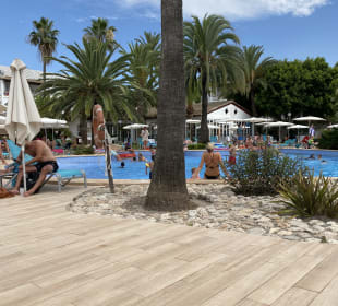 Hotelbilder Alcudia Garden Aparthotel Alcudia Holidaycheck