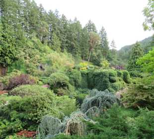 Im Butchart Garden unterwegs