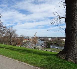 Rosensteinpark Übergang zu Schlossgarten