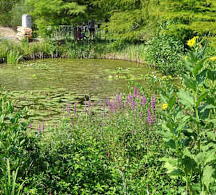Rundgang durch den Ökologisch-Botanischen Garten