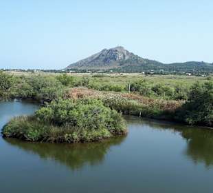 Naturpark S'Albufera