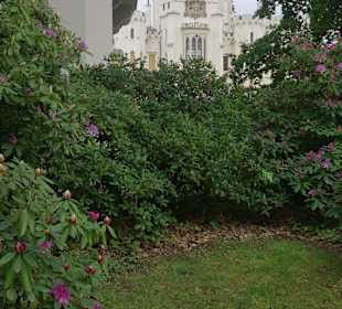 Hluboká nad Vltavou