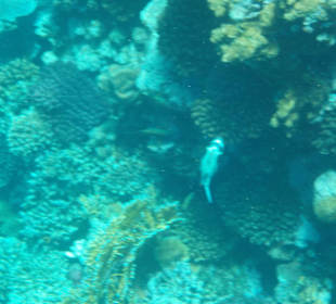 Weitere schöne Aufnahme