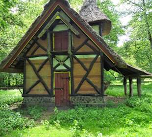 Im Wildgehege des Hirschparks