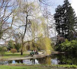 Teich