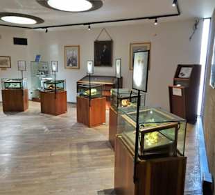 In den Ausstellungsräumen der Wachssammlung