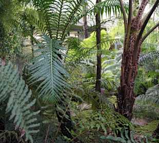 Anlage Planten un Blomen