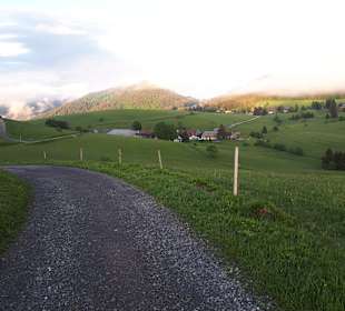 Wandern Todtnau