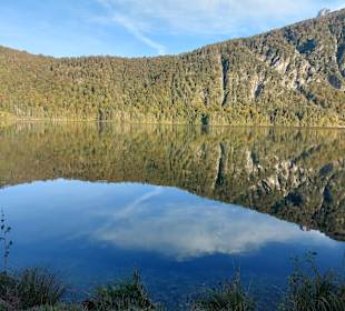 Almsee