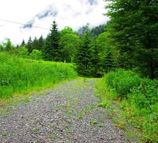 Der Plöckenpass 06-2011