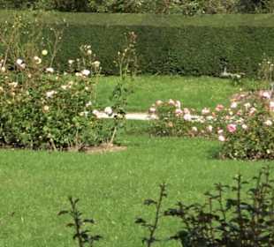 Rosengarten Botanischer Garten