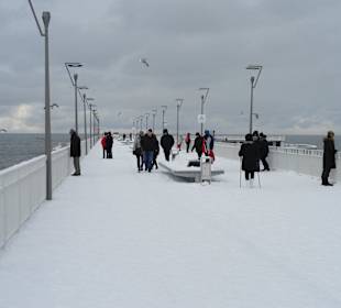 Mole im Schnee