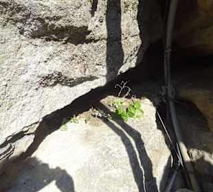 Kloster Agia Triáda